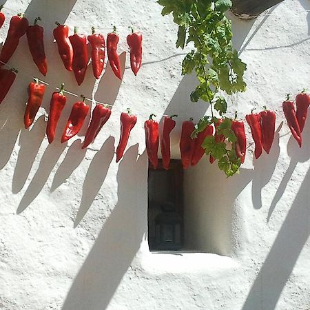 Hotel Rural Cortijo La Alberca Níjar المظهر الخارجي الصورة