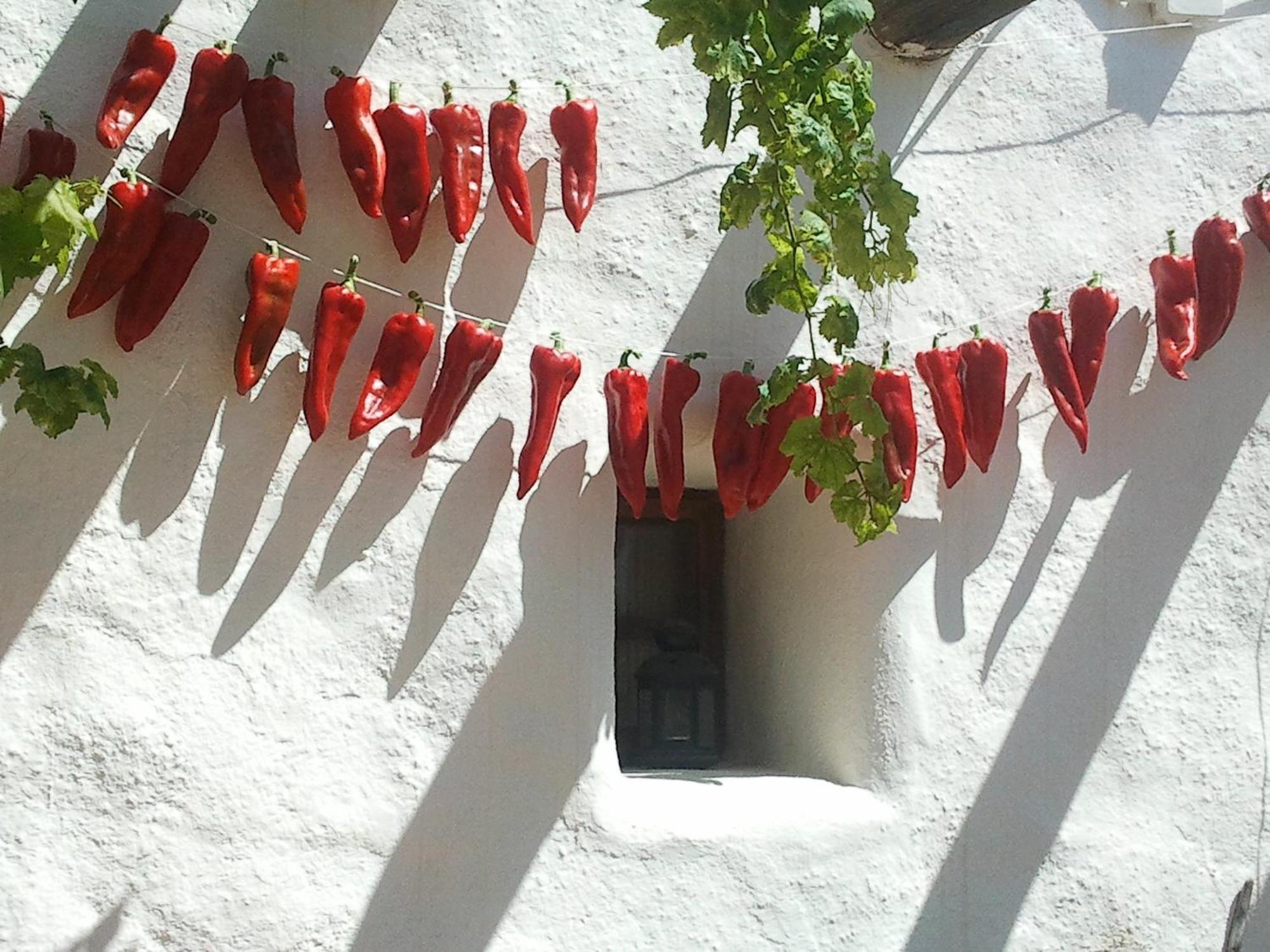 Hotel Rural Cortijo La Alberca Níjar المظهر الخارجي الصورة