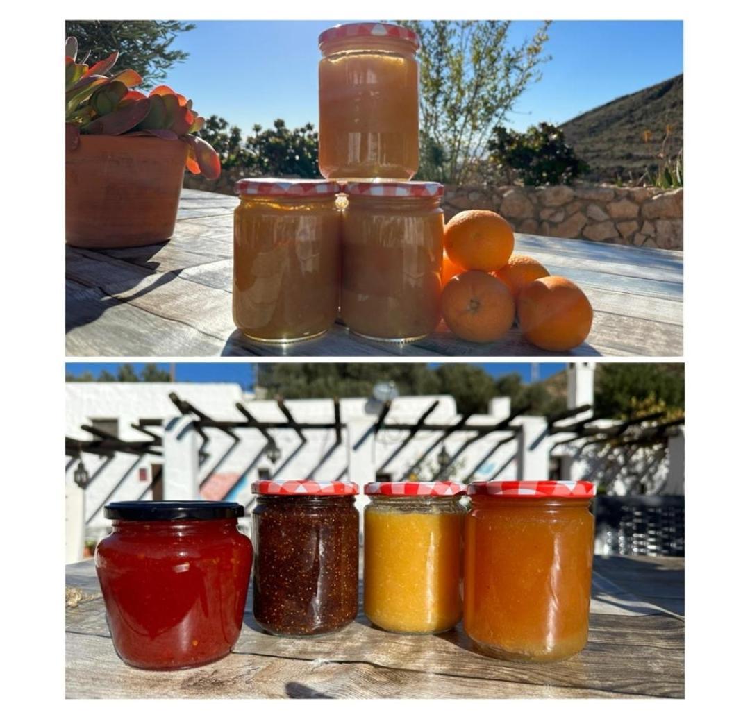 Hotel Rural Cortijo La Alberca Níjar المظهر الخارجي الصورة