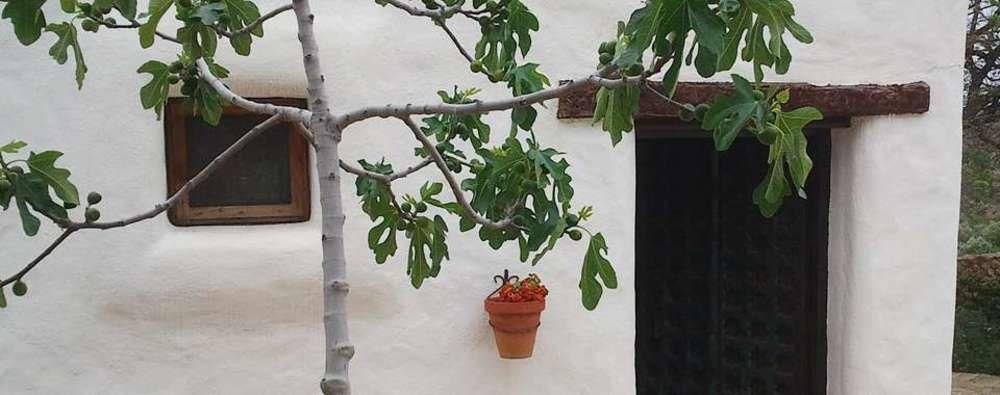 Hotel Rural Cortijo La Alberca Níjar المظهر الخارجي الصورة