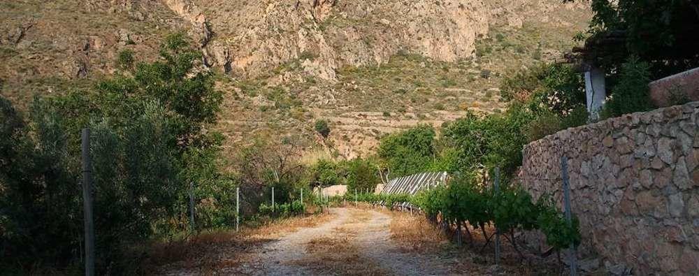 Hotel Rural Cortijo La Alberca Níjar المظهر الخارجي الصورة